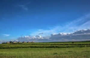 Alta Murgia, un incontro pubblico per riscoprire e custodire il paesaggio tra natura e storia