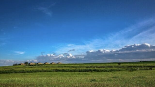 Murgia