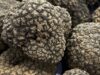 Torna la Festa del Tartufo a Torre Palomba: degustazioni, musica e sapori della Murgia
