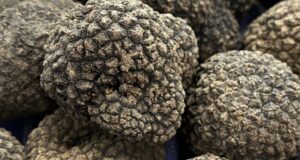 Torna la Festa del Tartufo a Torre Palomba: degustazioni, musica e sapori della Murgia