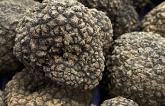 Torna la Festa del Tartufo a Torre Palomba: degustazioni, musica e sapori della Murgia