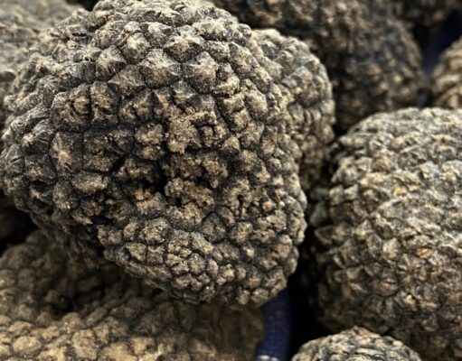 Torna la Festa del Tartufo a Torre Palomba: degustazioni, musica e sapori della Murgia