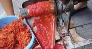 Salsa Fest torna ad Andria: Nicola Cusmai celebra il rito della passata di pomodoro