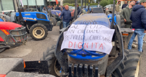 Crisi olivicola, agricoltori pugliesi a Montecitorio: «Nulla cambia nell’immediato». A Corato la protesta continua