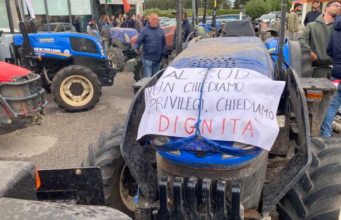 Crisi olivicola, agricoltori pugliesi a Montecitorio: «Nulla cambia nell’immediato». A Corato la protesta continua