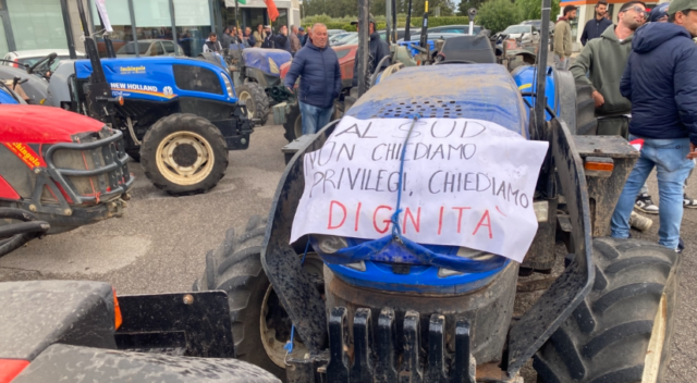 Crisi olivicola pugliese protesta agricoltori Corato