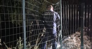 Tentato furto in un’azienda agricola a Corato: ladri in fuga