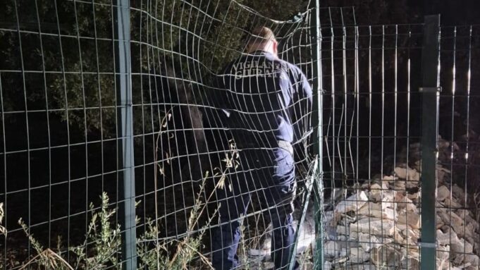 Tentato furto in un’azienda agricola a Corato: ladri in fuga